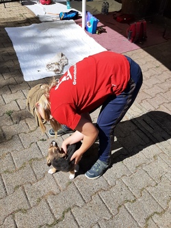 20220811_154420.jpg
