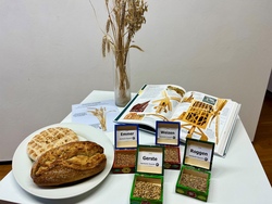 sf_vom korn zum brot_mr.jpg