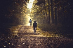 mountainbike.jpg