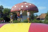 riesensprungkissen und fliegenpilz_steinau.jpg