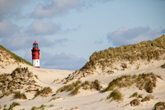 pexels-frank-rietsch-135445060-28430671.jpg
