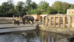 zoo hannover.jpg