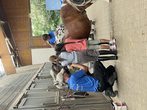 img_1031.jpeg