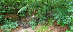 20200731_104133.jpg