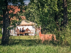 threema-20250720-134101039.jpg