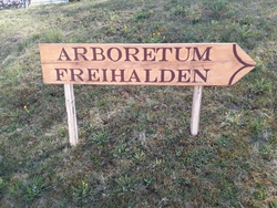 arboretum 2.jpg