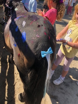 moonlight ranch bildvorlage.jpg