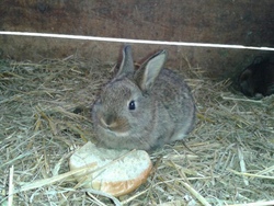 Bildquelle: Stettenhof