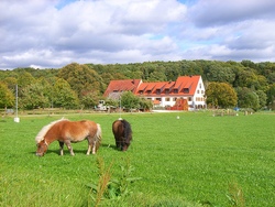 Bildquelle: Stettenhof