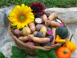 Bildquelle: Stettenhof