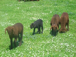 Bildquelle: Stettenhof