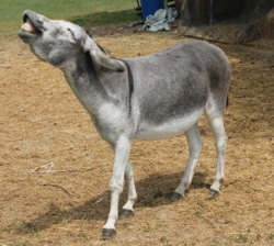 Bildquelle: Stettenhof