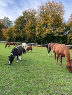 Bildquelle: Tina Zwatschek