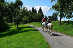 horse-riding-2648723_1280.jpg