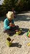 2016-09-01 14.45.00.jpg