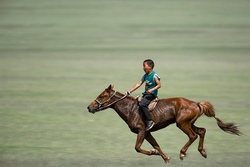 reiten.jpg
