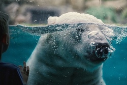 zoo.jpg