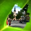 2014-08-30 15.11.22-1.jpg