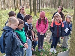 _natur 2.jpg