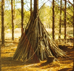 tipi neu.jpg