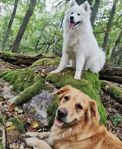 nala & malou wald.jpg