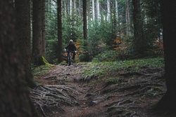 mountainbike kinder.jpg
