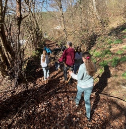 holzsammeln.jpg