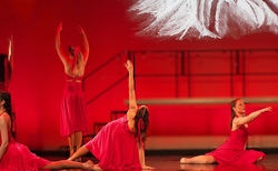 ballettschule schmetterling con2.jpg