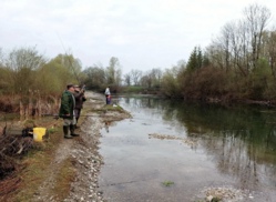 fischergilde merching schwanensee.png