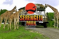 serengeti 1.jpg