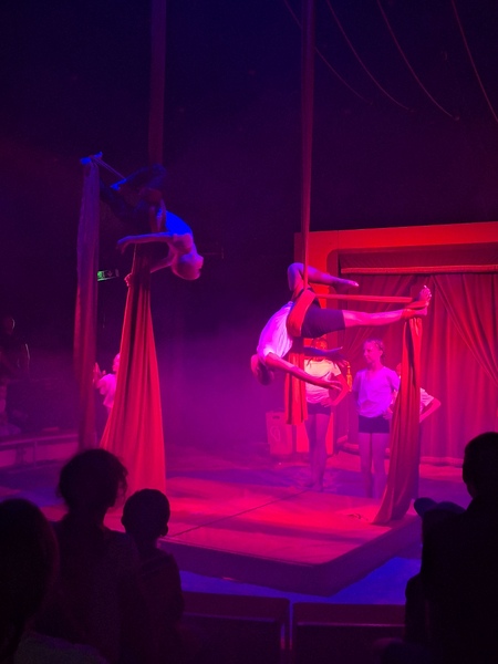 zirkus_2.jpg