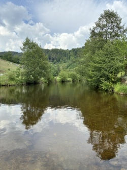fotot reichenstein .jpg
