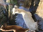 img_3104.jpg