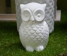 jaclou-dl-owl-2689396_1920.jpg