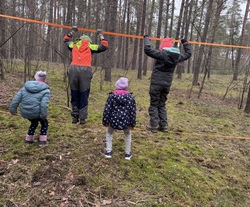 wald6.png