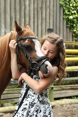 reiten.jpg