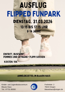 flipped fun park.jpg