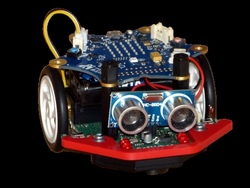 calli bot2.jpg