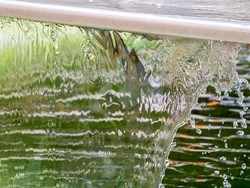 wasser.jpg