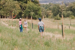 streuobstwiesenaktion mit kindern.jpg